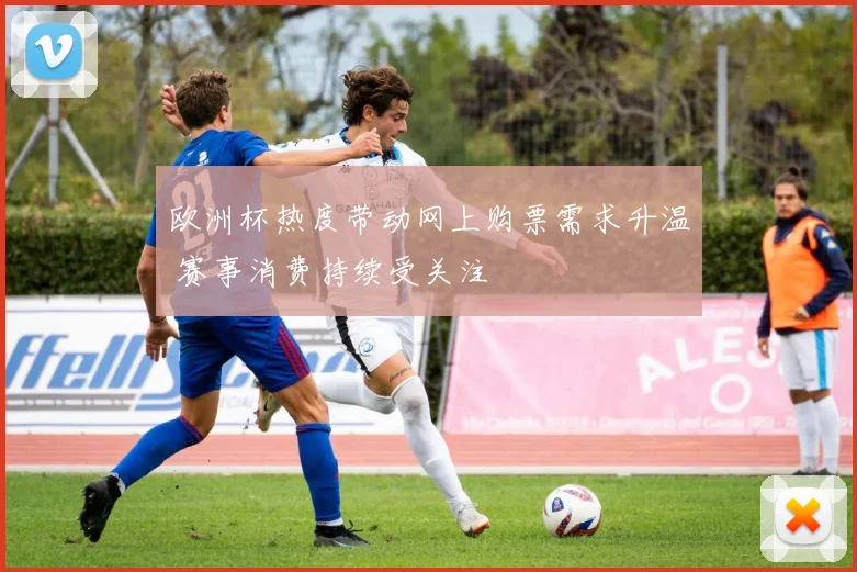 欧洲杯热度带动网上购票需求升温 赛事消费持续受关注