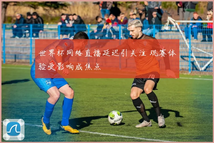 世界杯网络直播延迟引关注 观赛体验受影响成焦点
