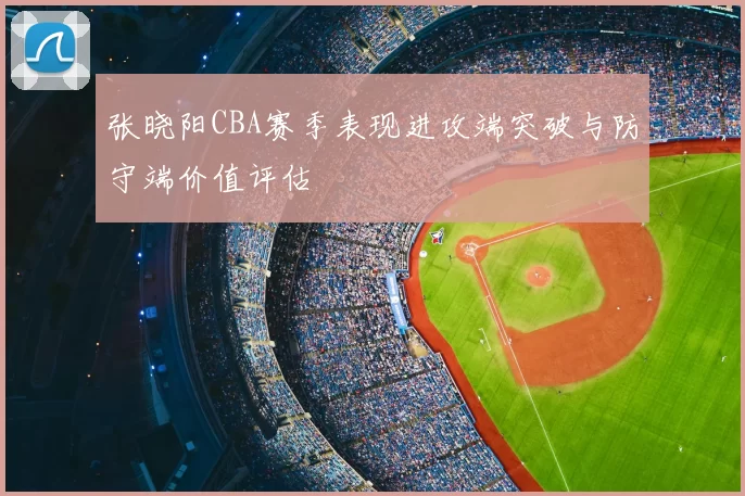 张晓阳CBA赛季表现进攻端突破与防守端价值评估