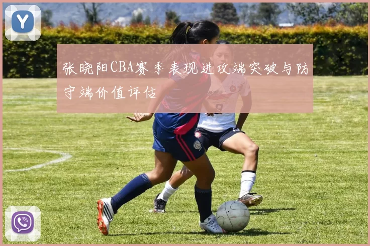 张晓阳CBA赛季表现进攻端突破与防守端价值评估